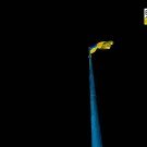 flag_Lviv_4
