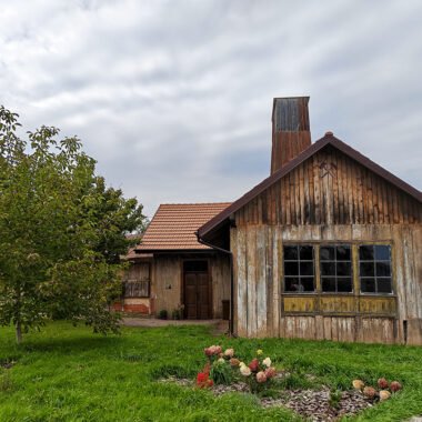 Королівський, шурф №1