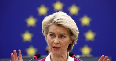 Урсула фон дер Ляєн оголосила про створення Європейського фонду для відновлення України.
